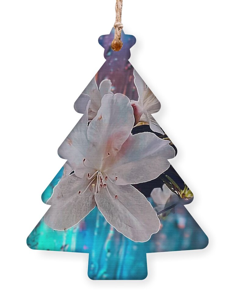 Azelia's Flower Ornament featuring the photograph Last of the Season by John Anderson