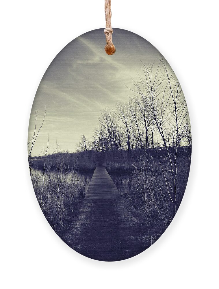 Nature Ornament featuring the photograph Late Fall Wooded Trail - Toned by Frank J Casella