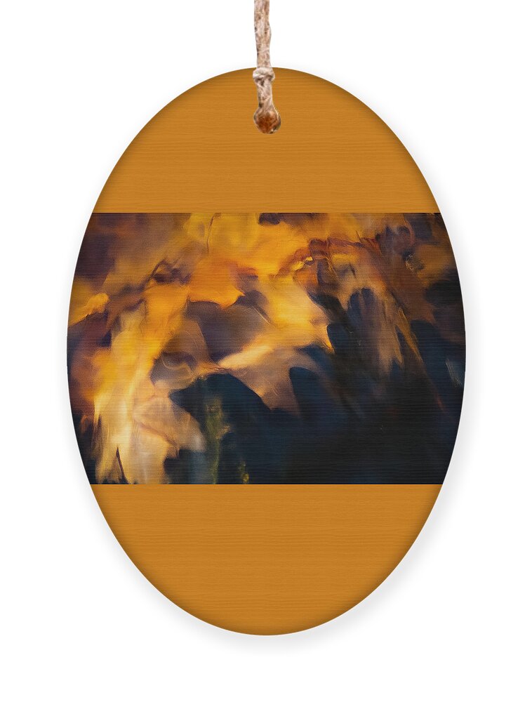 Abstract Ornament featuring the photograph Leaf Story by Linda Bonaccorsi