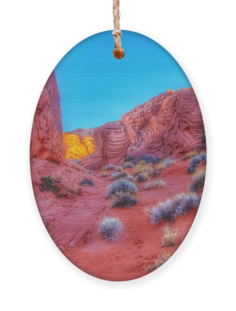  Ornament featuring the photograph Life on Mars 2 by Rodney Lee Williams