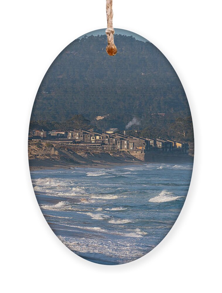 Monterey Ornament featuring the photograph Life on the Edge by Derek Dean