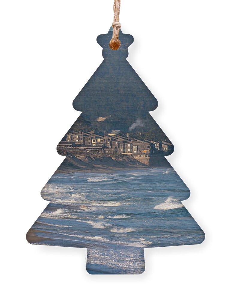 Monterey Ornament featuring the photograph Life on the Edge by Derek Dean