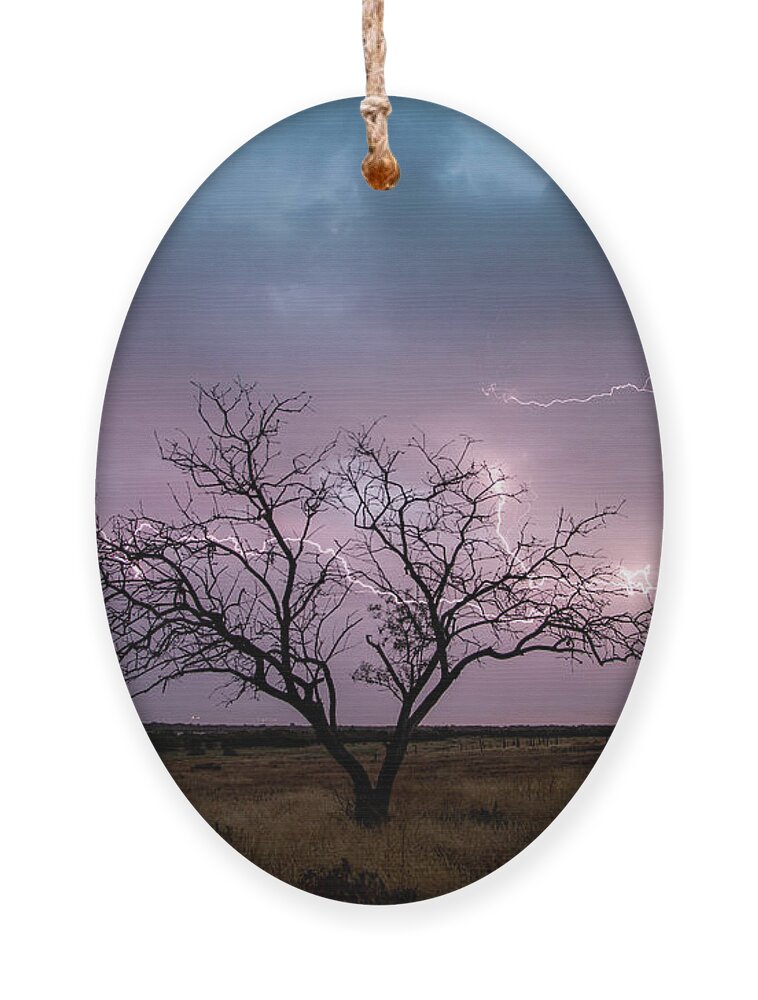 Storm Ornament featuring the photograph Lightning Tree by Wesley Aston