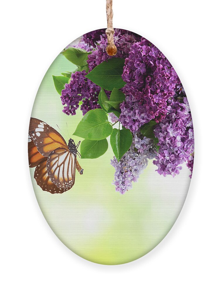 Lilac Ornament featuring the photograph Lilac and Butterflies by Anastasy Yarmolovich