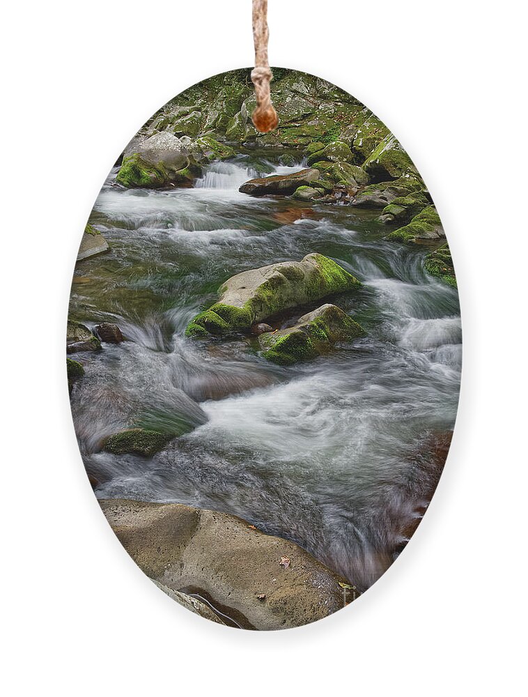 Smokies Ornament featuring the photograph Little River 3 by Phil Perkins
