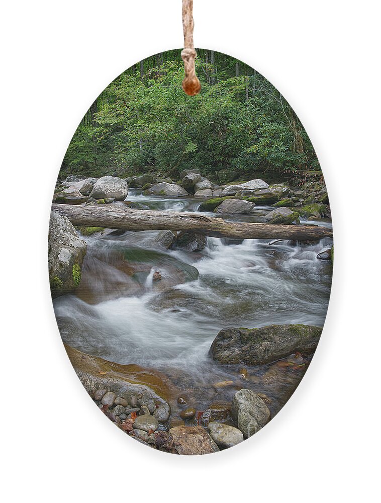 Smokies Ornament featuring the photograph Little River 5 by Phil Perkins