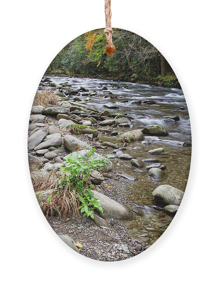 Water Ornament featuring the photograph Little River In Autumn by Phil Perkins