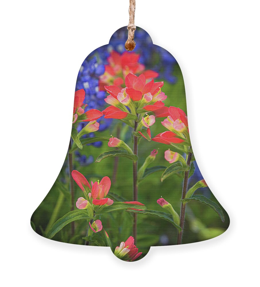 America Ornament featuring the photograph Lone Star Blooms by Inge Johnsson