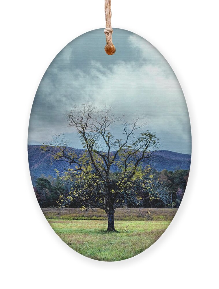 Smokies Ornament featuring the photograph Lone Tree at Cades Cove Townsend Tennessee by Debra and Dave Vanderlaan