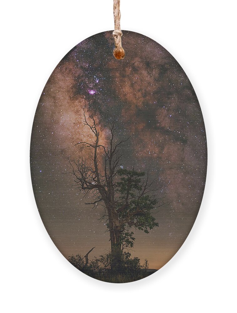 Nightscape Ornament featuring the photograph Lone Tree by Grant Twiss