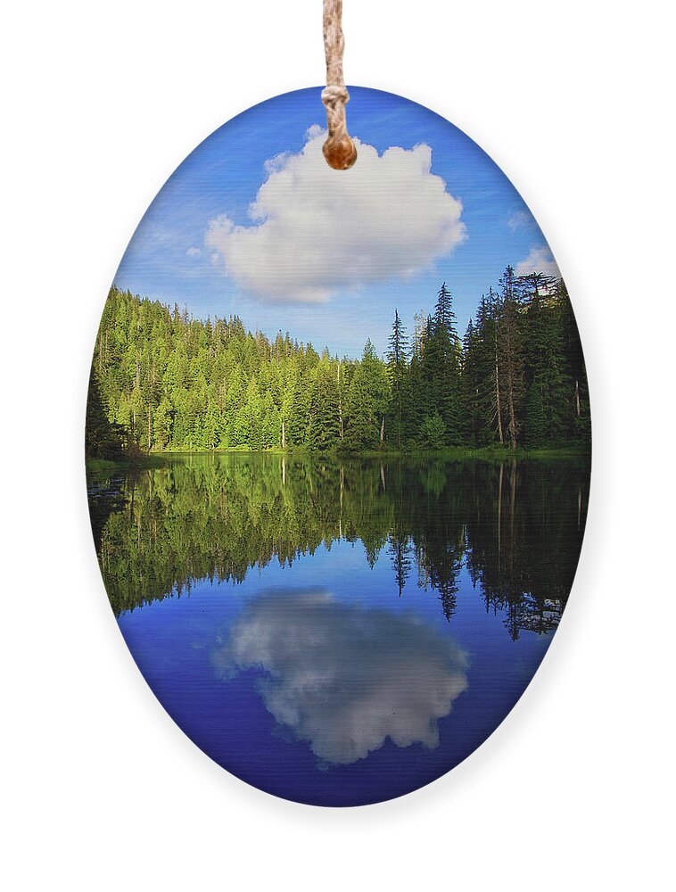 Clouds Ornament featuring the photograph Lonely Cloud Reflection by Bradley Morris