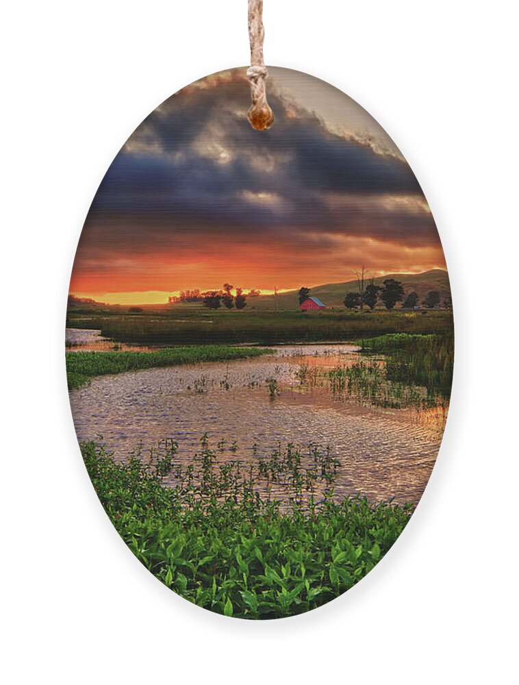 Los Osos Valley Ornament featuring the photograph Los Osos Valley by Beth Sargent