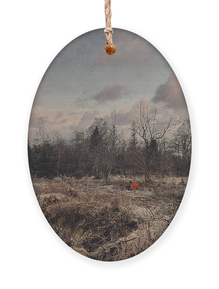 Land Ornament featuring the photograph Lost in the forest by Yasmina Baggili