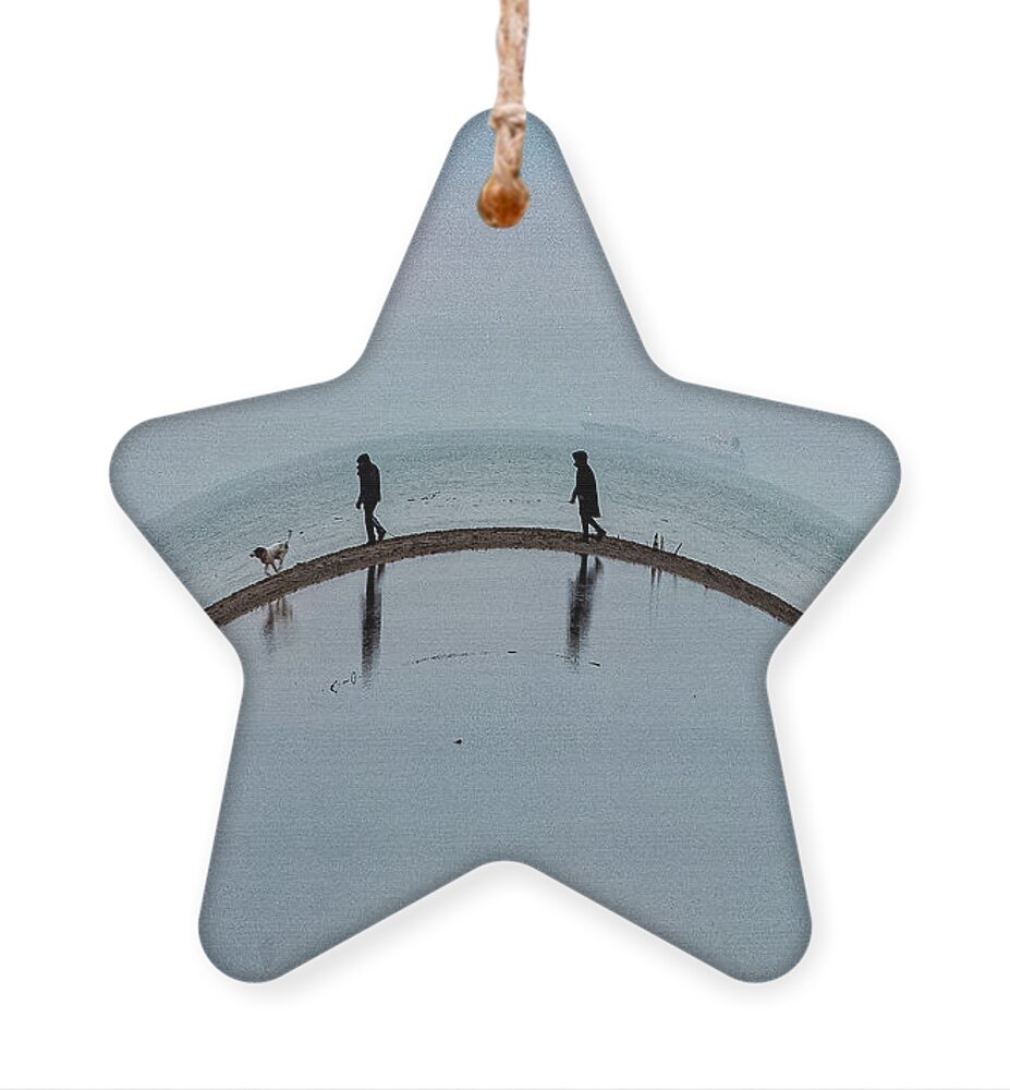 Lake Ontario Ornament featuring the photograph Love Where You Live II by Marilyn Cornwell