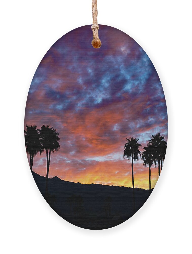 Sunset Ornament featuring the photograph Luminous Desert Sunset Skies Behind Palm Trees, Palm Desert California by Bonnie Colgan