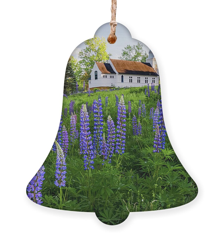Lupine Ornament featuring the photograph Lupines by Saint Matthew's Chapel in Sugar Hill, New Hampshire I by William Dickman