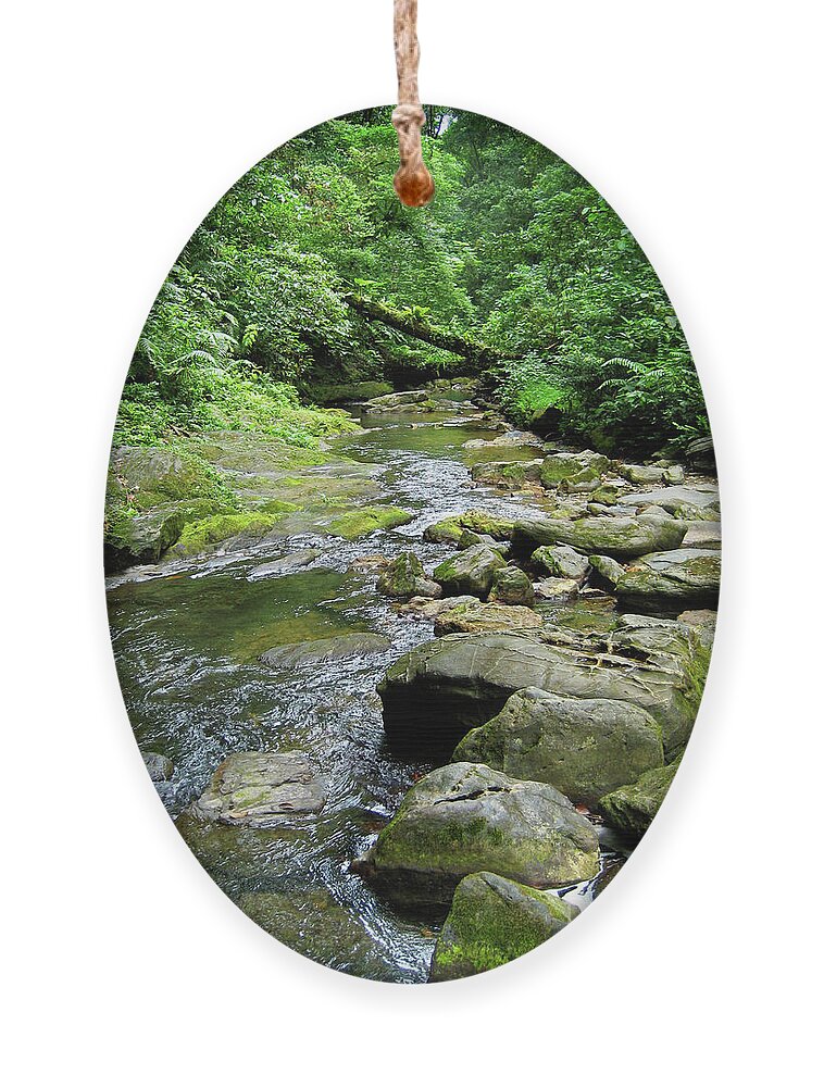 River Ornament featuring the photograph Lush Trinidad by Becqi Sherman