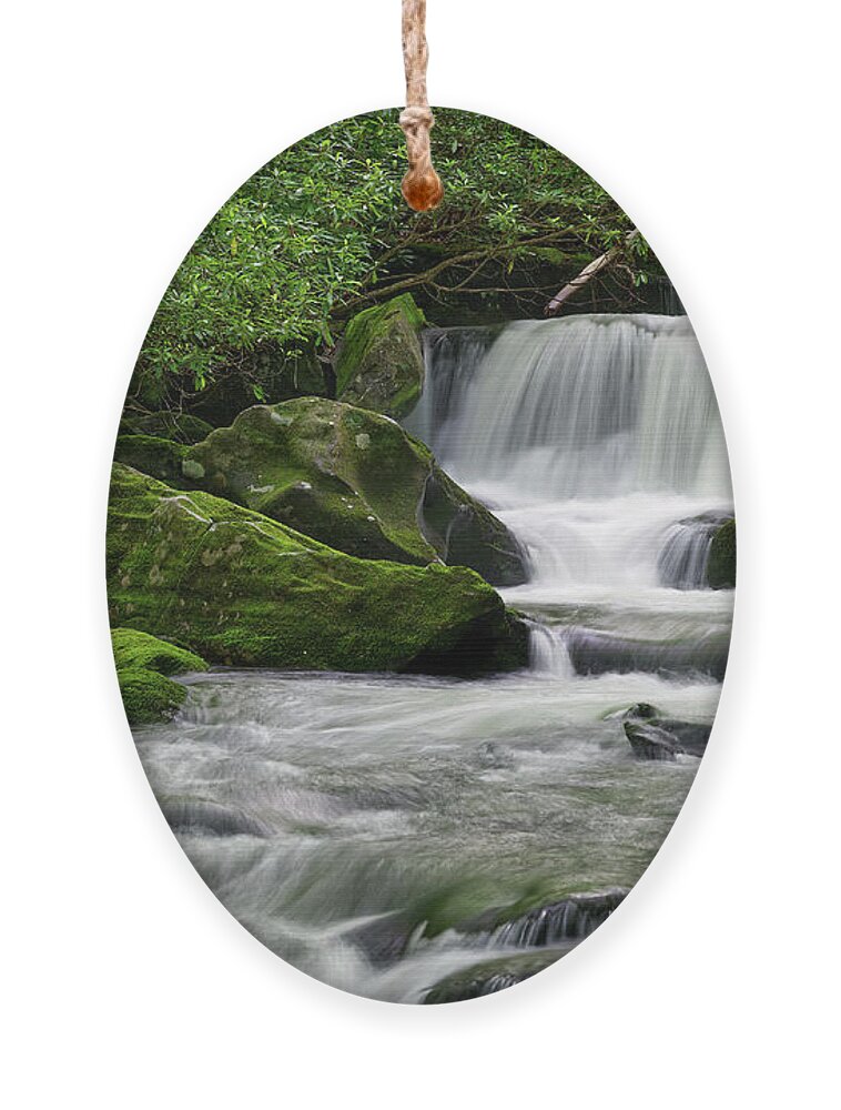 Middle Prong Trail Ornament featuring the photograph Lynn Camp Prong 12 by Phil Perkins