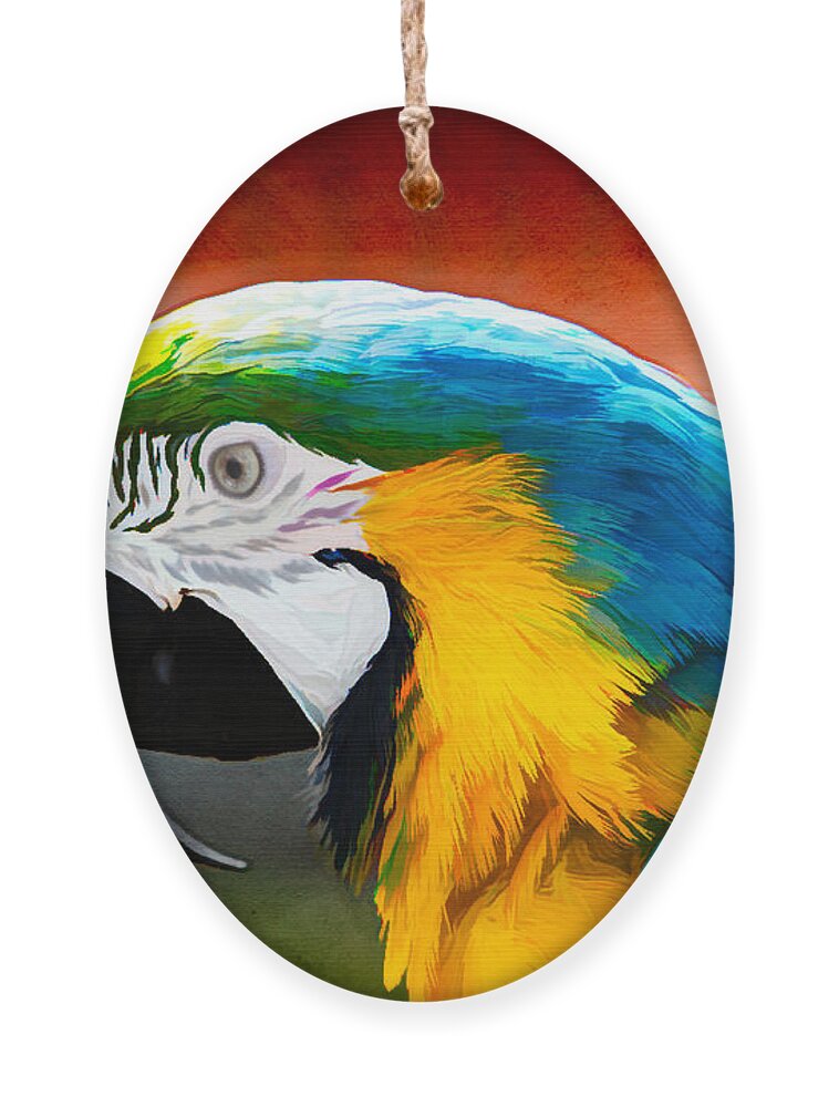 Birds Ornament featuring the photograph Macaw Tropical Bird by Eleanor Abramson