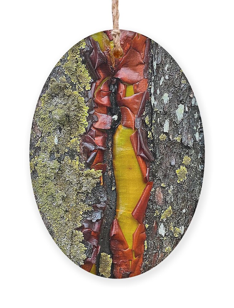 Abstract Ornament featuring the photograph Madrone Tree Bark Abstract by Jerry Abbott