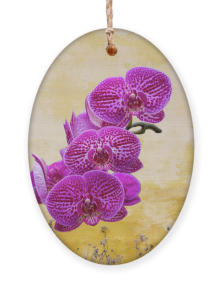 Magenta Ornament featuring the photograph Magenta Moth Orchids by Cate Franklyn