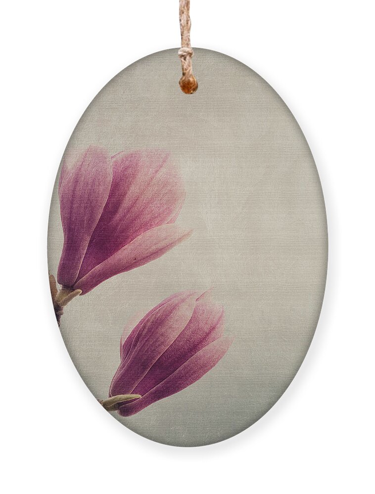 Magnolia Ornament featuring the photograph Magnolia flower on art texture by Jelena Jovanovic