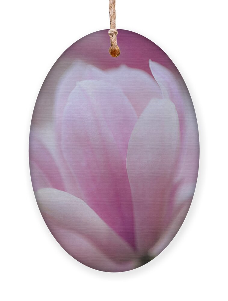 Flower Ornament featuring the photograph Magnolia by Marlo Horne