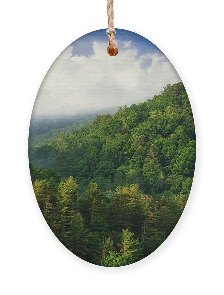 Appalachian Ornament featuring the photograph Majestic Mountains of Northeast Tennessee by Shelia Hunt