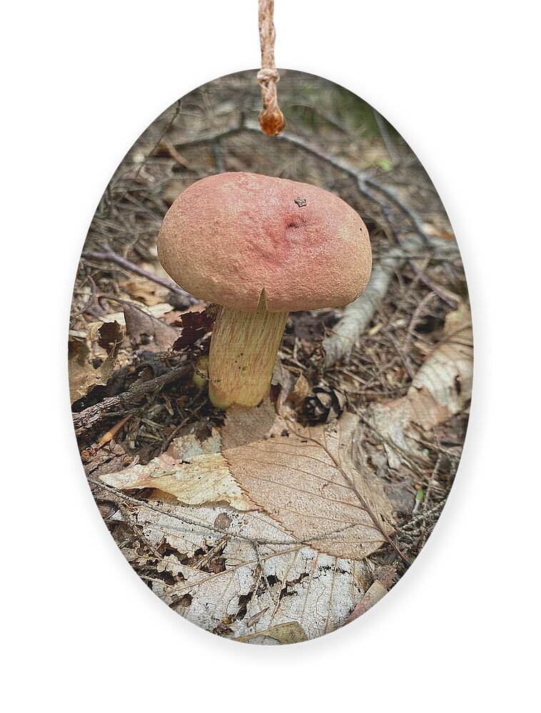 Mushroom Ornament featuring the photograph Majestic Mushrooms #50 by Anjel B Hartwell