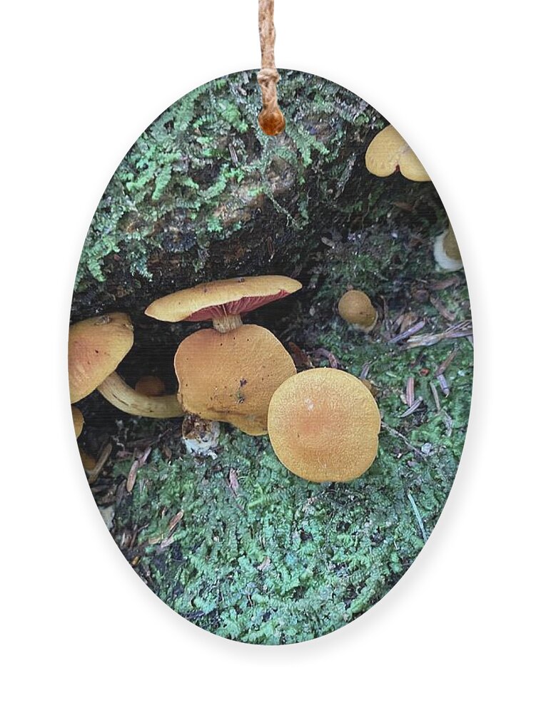 Mushrooms Ornament featuring the photograph Majestic Mushrooms #57 by Anjel B Hartwell