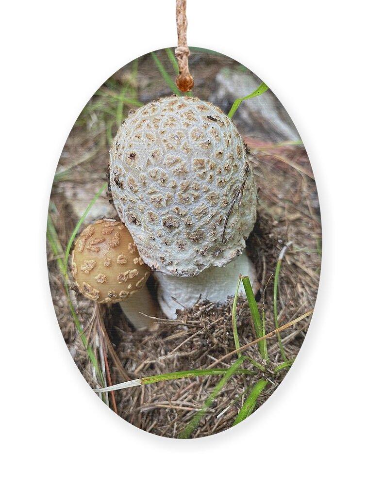 Mushroom Ornament featuring the photograph Majestic Mushrooms #9 by Anjel B Hartwell