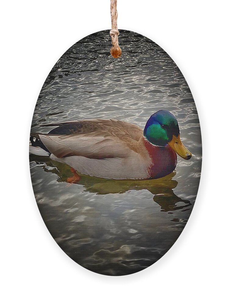 Duck Ornament featuring the photograph Mallard by Jerry Abbott