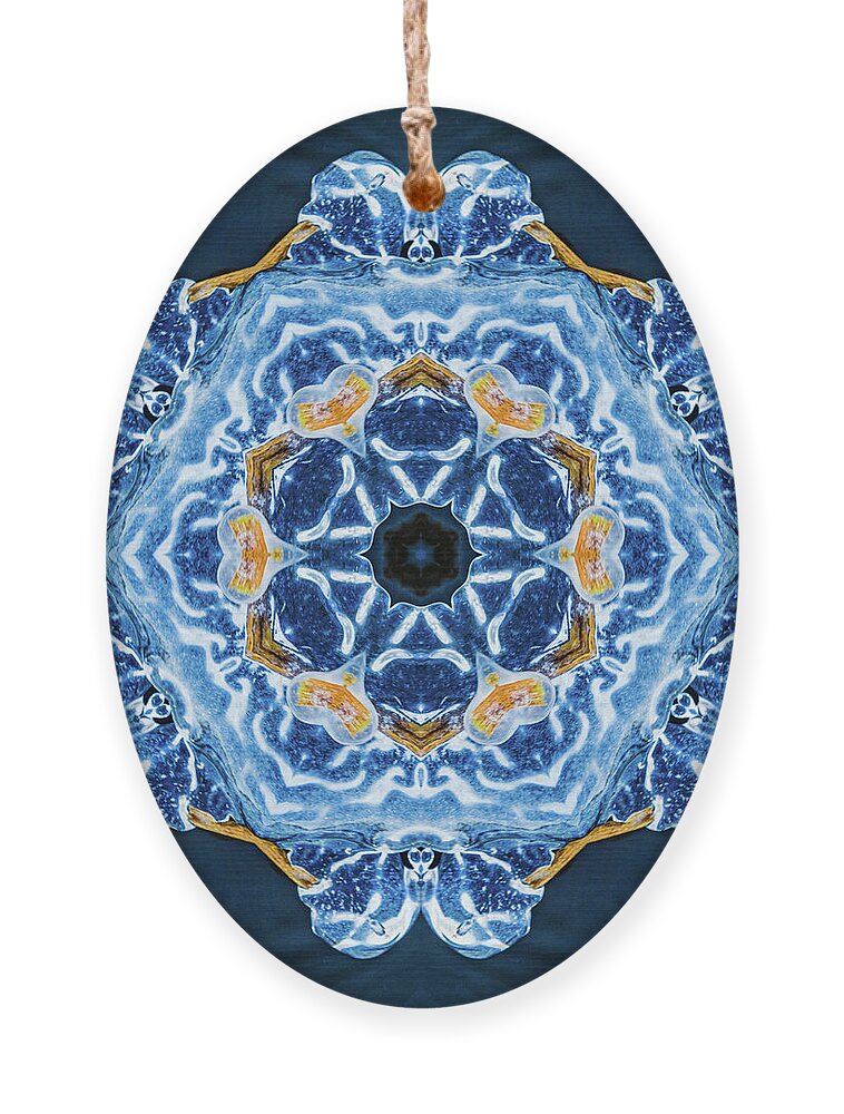 Ice Ornament featuring the photograph Mandala-36 by Casper Cammeraat