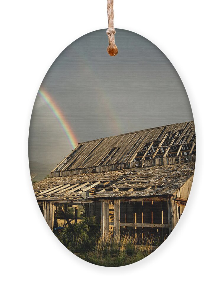 Barn Ornament featuring the photograph Mapleton Barn Rainbow by Wesley Aston