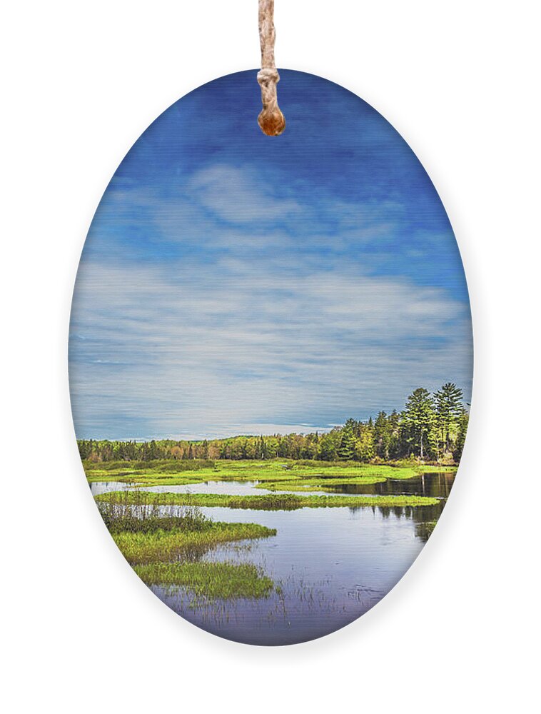 May In The Adirondacks Ornament featuring the photograph May in the Adirondacks by David Patterson