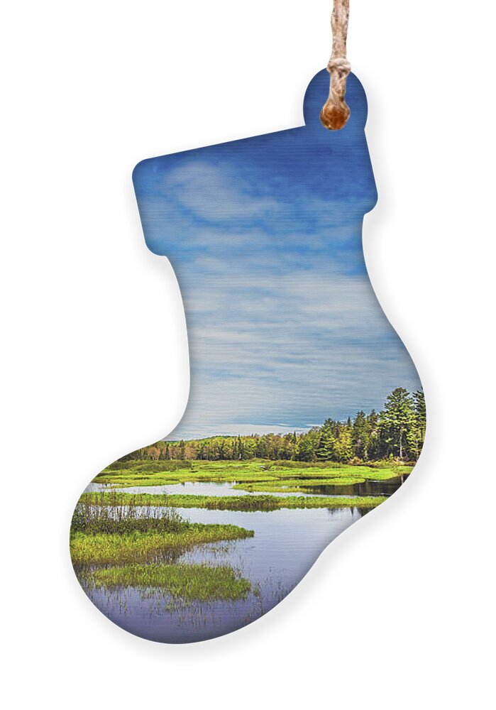 May In The Adirondacks Ornament featuring the photograph May in the Adirondacks by David Patterson