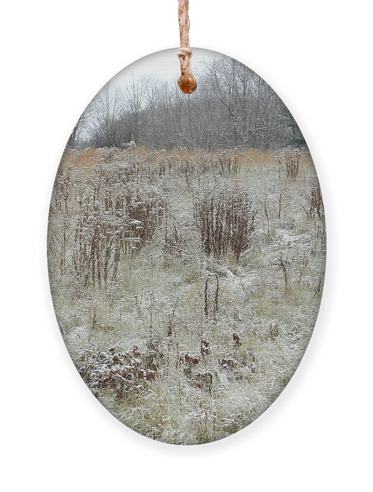 Meadow Ornament featuring the photograph Meadow, First December Snow by Lise Winne