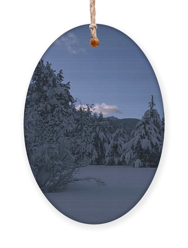  California Ornament featuring the photograph meadow morning twilight El Dorado National Forest, California, U. S. A. by PROMedias US
