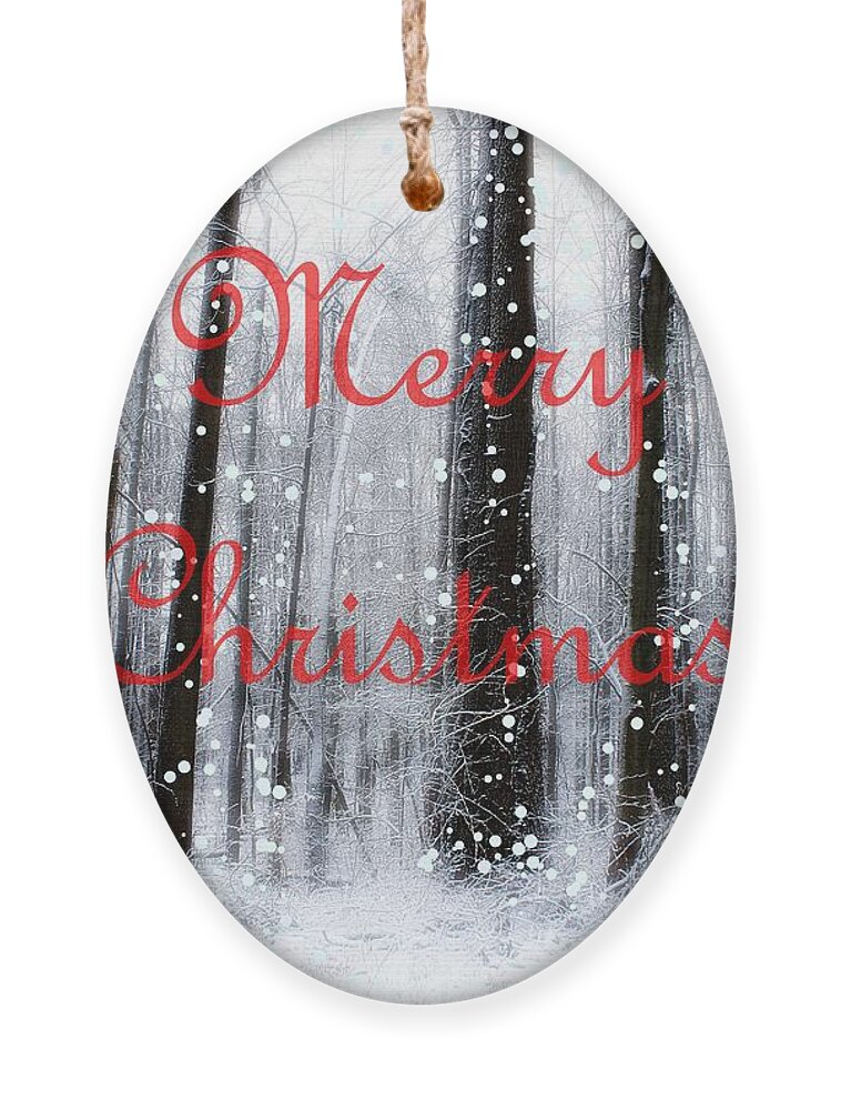 Christmas Ornament featuring the photograph Merry Christmas at the Woods of Nimisila by Mary Walchuck