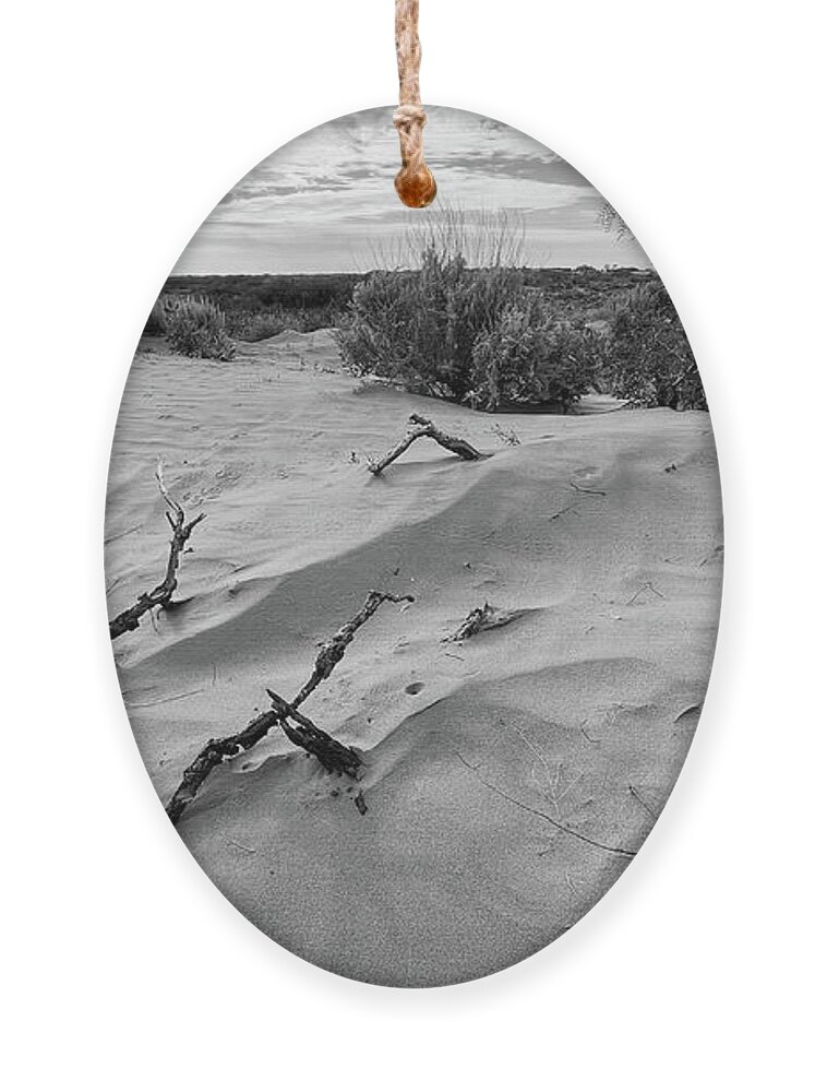 Richard Porter Ornament featuring the photograph Mesquite-BW, Mescalero Sands, Maljamar, New Mexico by Richard Porter