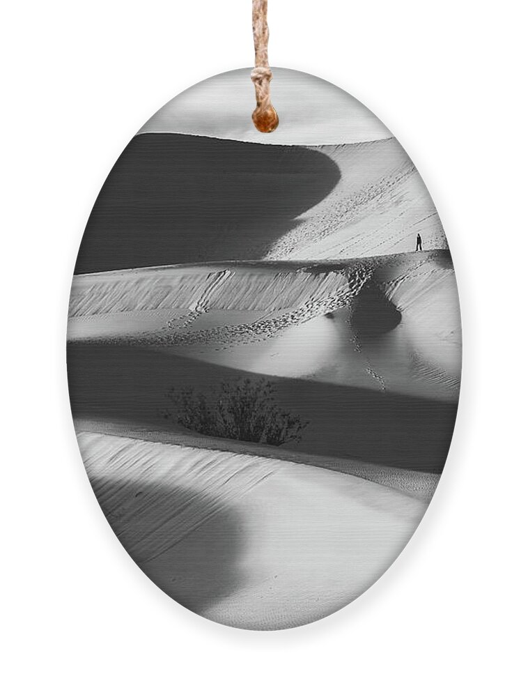 American Landscape Ornament featuring the photograph Lone Hiker on Dunes bw by Jonathan Nguyen