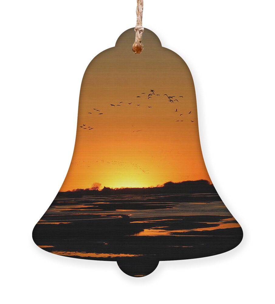 Sunset Ornament featuring the photograph Mid March Sunset by Paula Guttilla