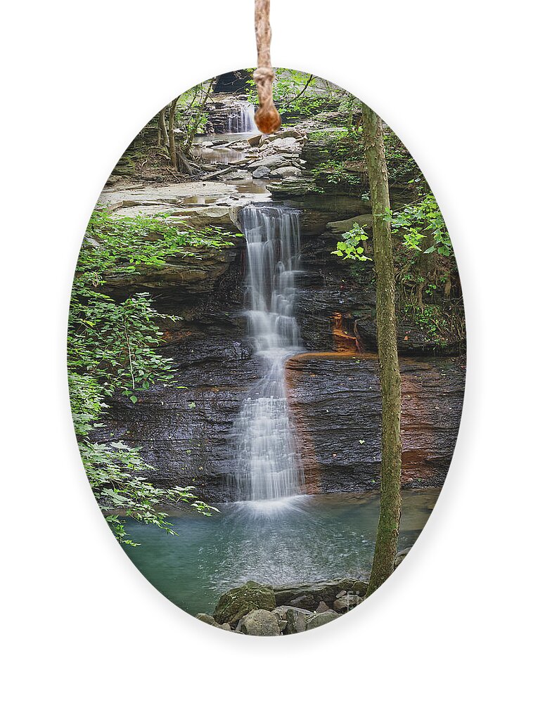 Falls Ornament featuring the photograph Middle Fork Falls 6 by Phil Perkins