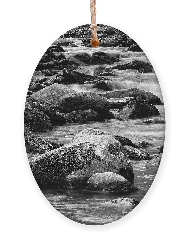 Middle Prong Trail Ornament featuring the photograph Middle Prong Little River 7 by Phil Perkins