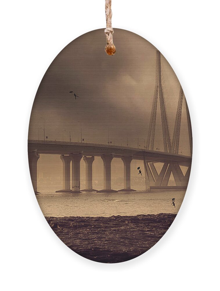 Photography Ornament featuring the photograph Migrations by Craig Boehman
