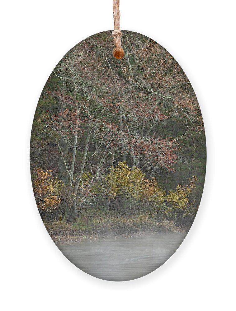 Nature Ornament featuring the photograph Misty Morning on the Wading River by Kristia Adams