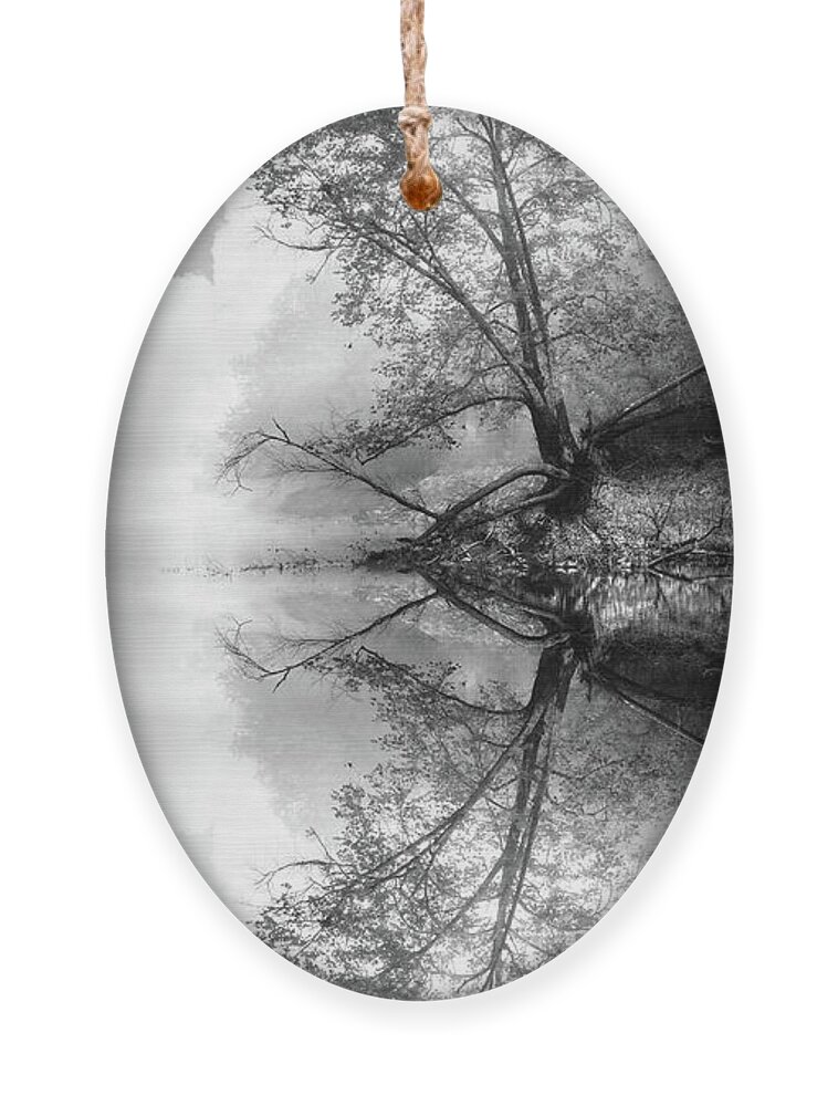 Black Ornament featuring the photograph Misty Morning Tree Reflections Black and White by Debra and Dave Vanderlaan