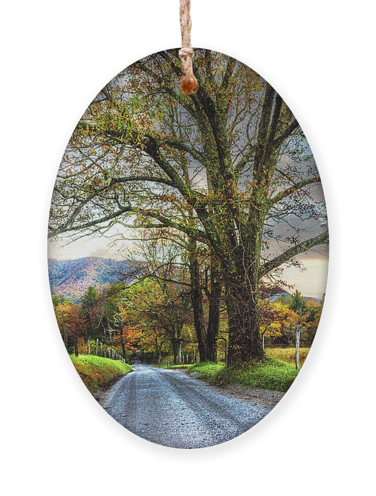 Cades Ornament featuring the photograph Misty Sparks Lane by Debra and Dave Vanderlaan