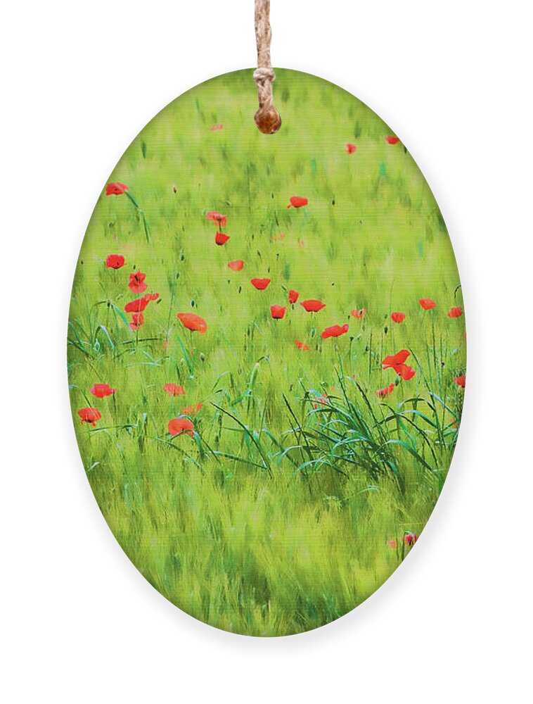 Wheat Field;poppies; Red ; Green; Tuscany Ornament featuring the photograph Monet Poppies in Italy by Eggers Photography