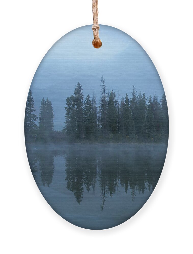 Pyramid Bridge Ornament featuring the photograph Moody Forest Reflection Pyramid Lake by Dan Sproul